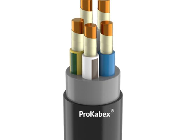 Кабель Кабэкс ППГ-нг(А)-FRHF 5х6 660 В силовой безгалогенный, 