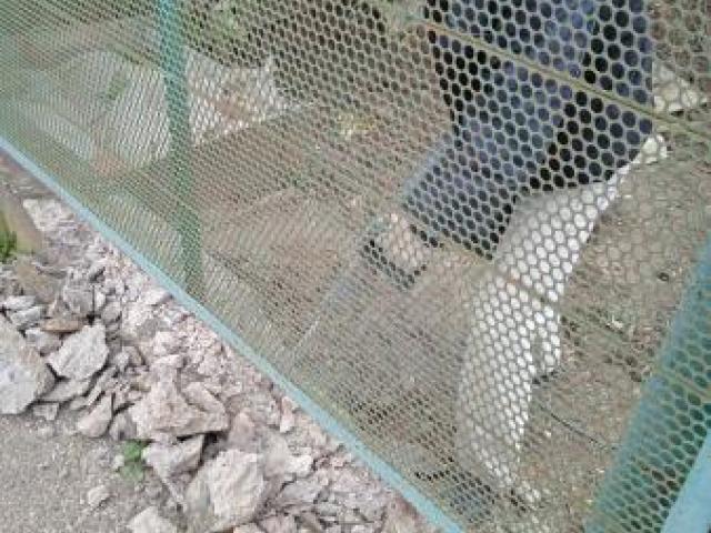 Отбойный молоток.Слом.Демонтаж, Крымск