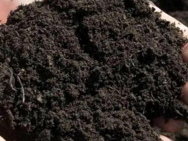 Торфогрунт с доставкой, Санкт-Петербург