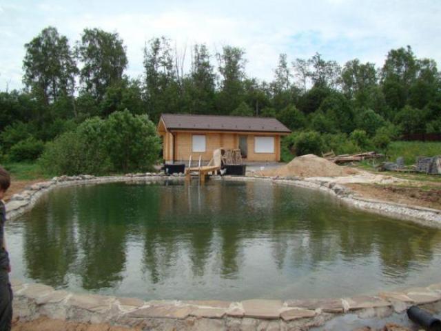 Благоустройство территорий. Озеленение, Иваново