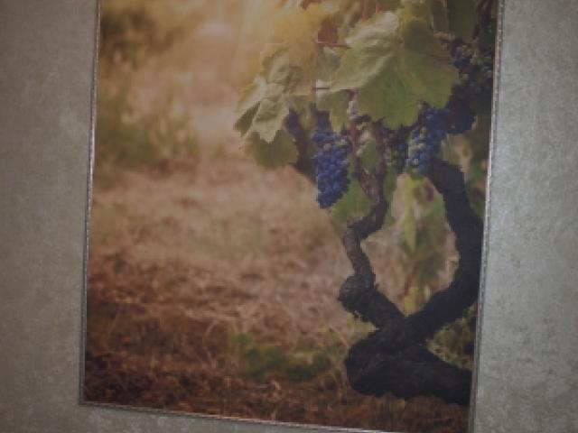 Фрески,фрески на заказ, купить фрески в оренбурге, Оренбург