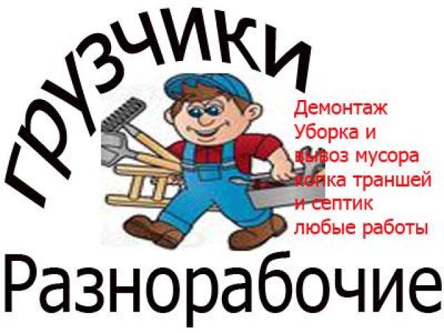 Услуги разнорабочих с опытом более 5-ти лет, Москва