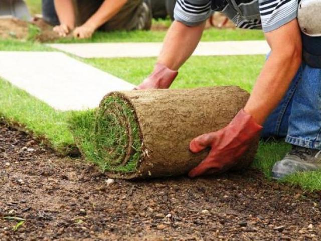 Требуются рабочие на озеленение территории, Санкт-Петербург