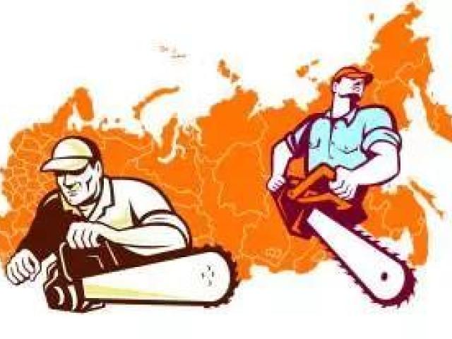 Санитарная вырубка, кронирование, корчевание, обрезка и аварийный спил деревьев, Краснодар