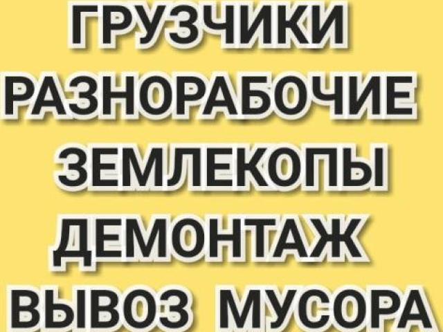 Демонтаж дачи демонтаж построек вывоз мусора, Омск