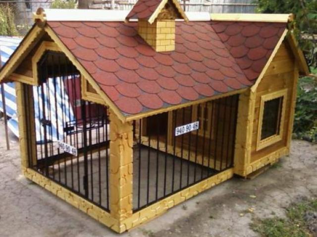 Строим будку для собаки, Ростов-на-Дону