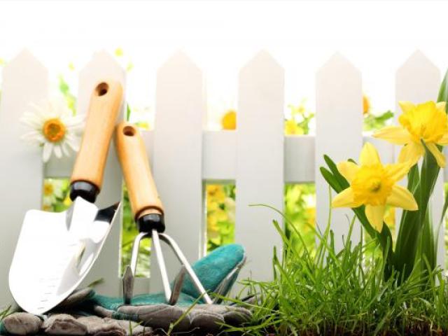 Уход за садом. Озеленение., Красноярск