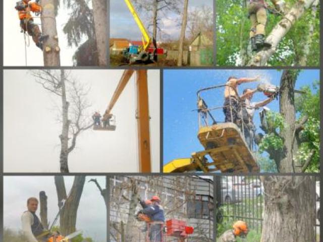 Работы по благоустройству в Воронеже и области, Воронеж