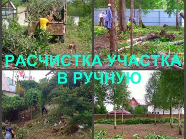 Расчистка Воронеж, расчистка участков в Воронеже, Воронеж