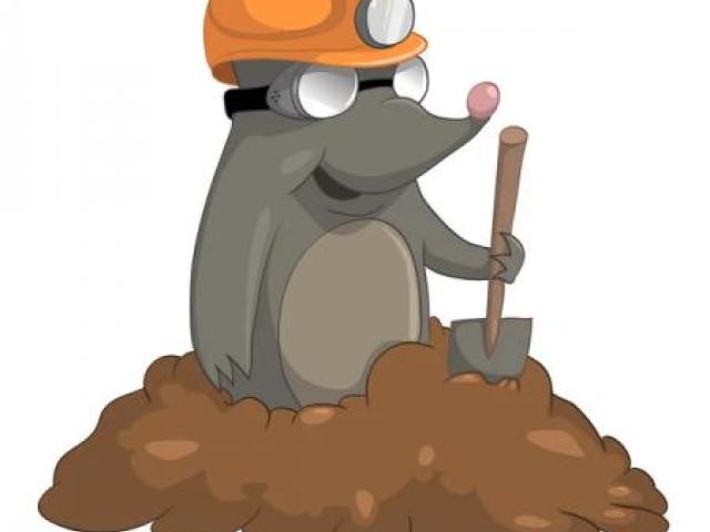 "ЗЕМЛЯНЫЕ - ЗЕМЕЛЬНЫЕ РАБОТЫ", Сочи