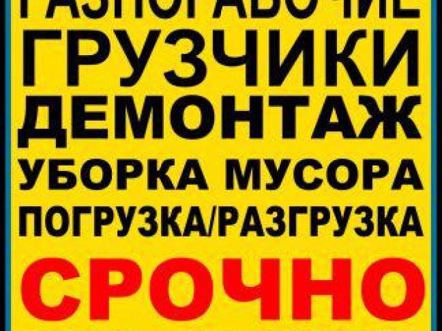 Разнорабочие и грузчики в Омске, Омск