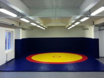 Борцовские ковры из Пвх покрытия, Подольск