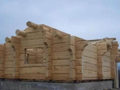 Норвежская рубка срубов из лафета, Гомель