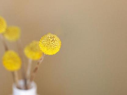 Штукатурка, Краснодар