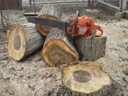 Спил удаления деревьев, профессионально оперативно, Санкт-Петербург