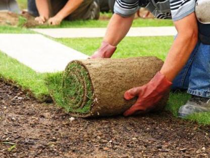 Требуются рабочие на озеленение территории, Санкт-Петербург