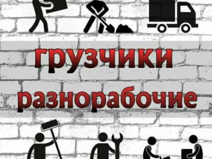 Лучшие подсобники Сочи, Санкт-Петербург