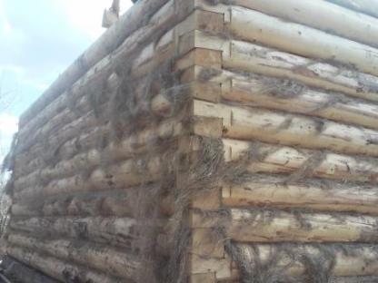 Строительство домов, бань из сруба, Омск