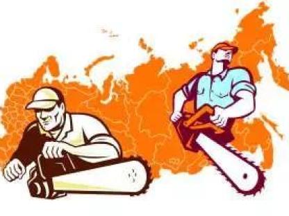 Санитарная вырубка, кронирование, корчевание, обрезка и аварийный спил деревьев, Краснодар