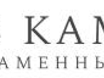 - ЛИДЕР САНКТ-ПЕТЕРБУРГА, Санкт-Петербург