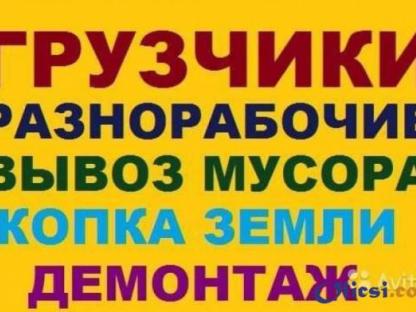 Выполним услуги уборки территорий, уборка участка, спил сухих деревьев любой вид сложности  вывоз строительного мусора, Одесса