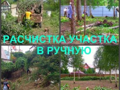 Расчистка Воронеж, расчистка участков в Воронеже, Воронеж